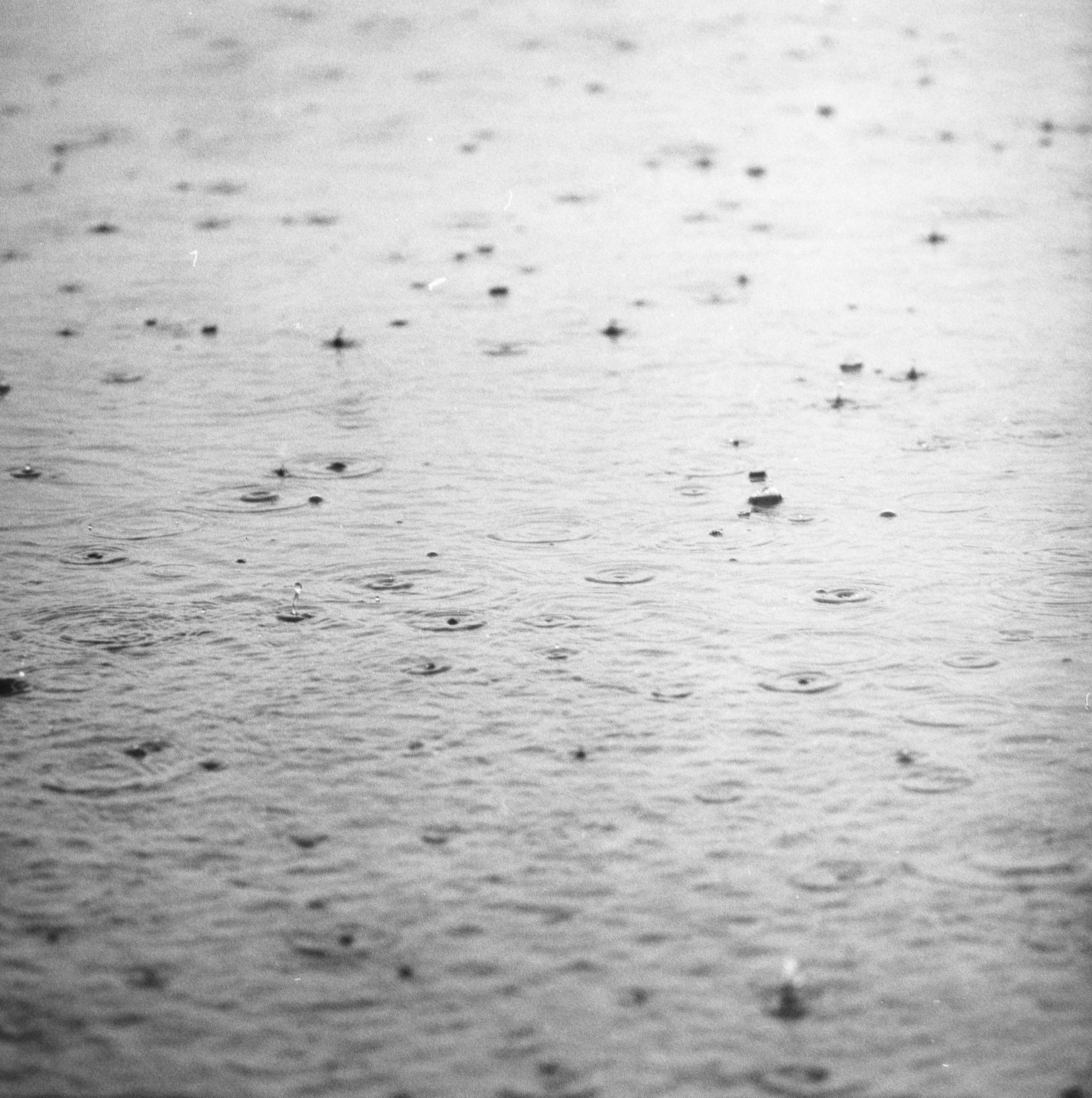 black and white photo of wet ground
